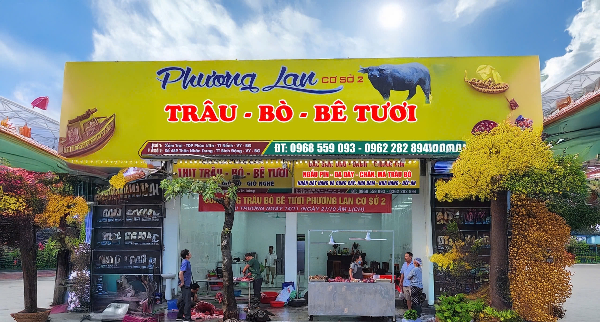 Giới thiệu về Trâu Giật Phương Lan