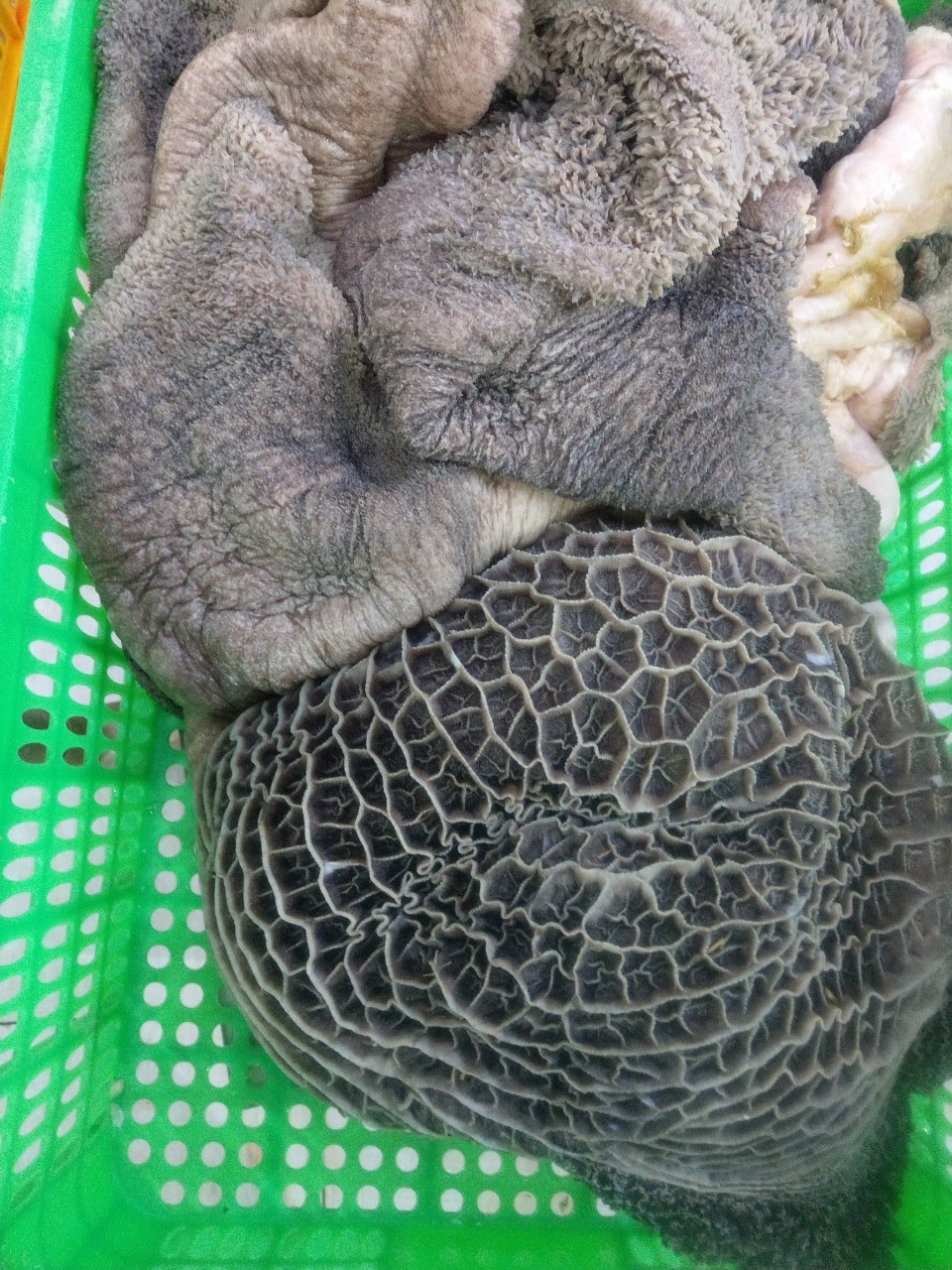 Sách đen, trắng