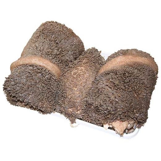 Dạ dày