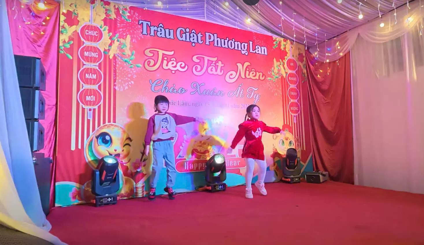 Trâu giật phương lan - chúc mừng năm mới