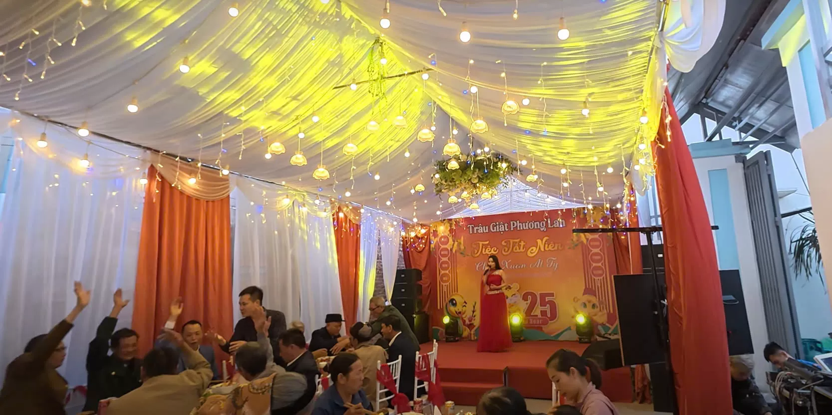 Trâu giật phương lan - chúc mừng năm mới