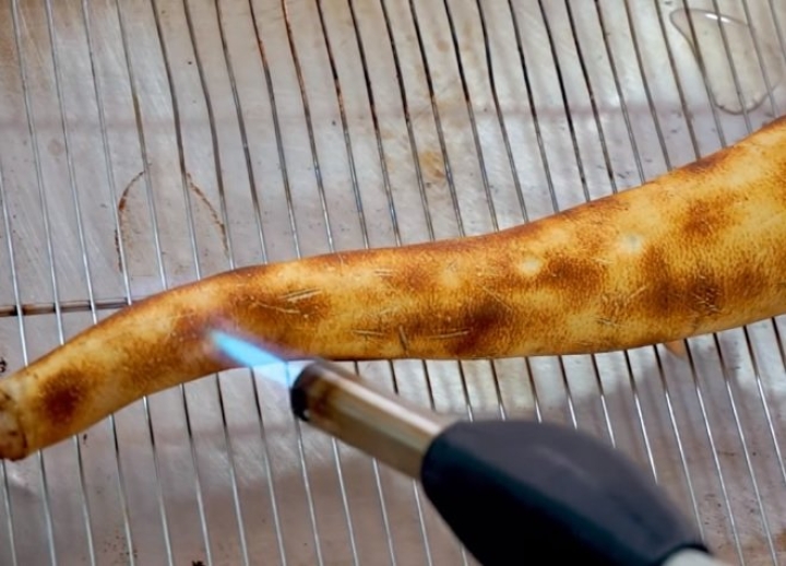 Đuôi thui (to + bé)